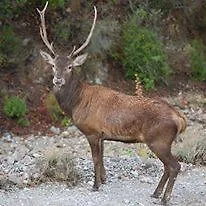 펜션 Casa Del Cervo 인구르토수